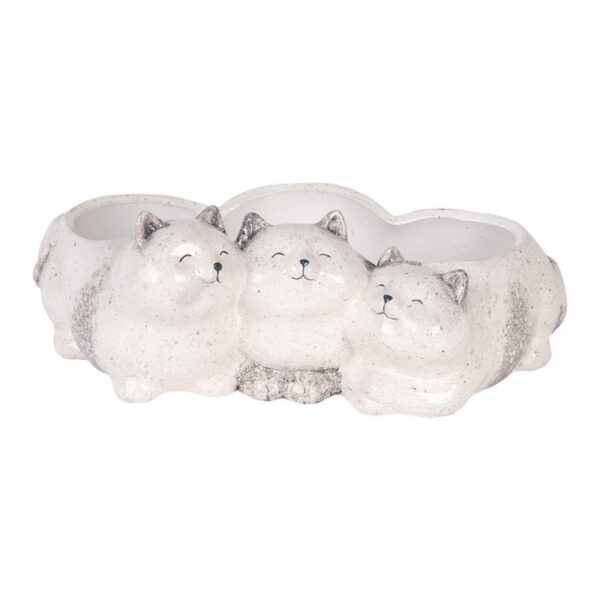 Beeld Katten Grijs Keramiek