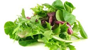 Pluk-Salade