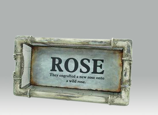 IJzeren Mand Met "Rose"