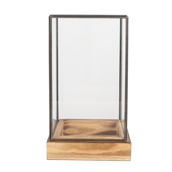 Decoratie Kweekkastje 14x14x24 cm Transparant Glas