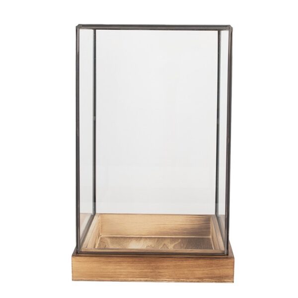 Decoratief Kweekkastje 19x19x30 cm Glas