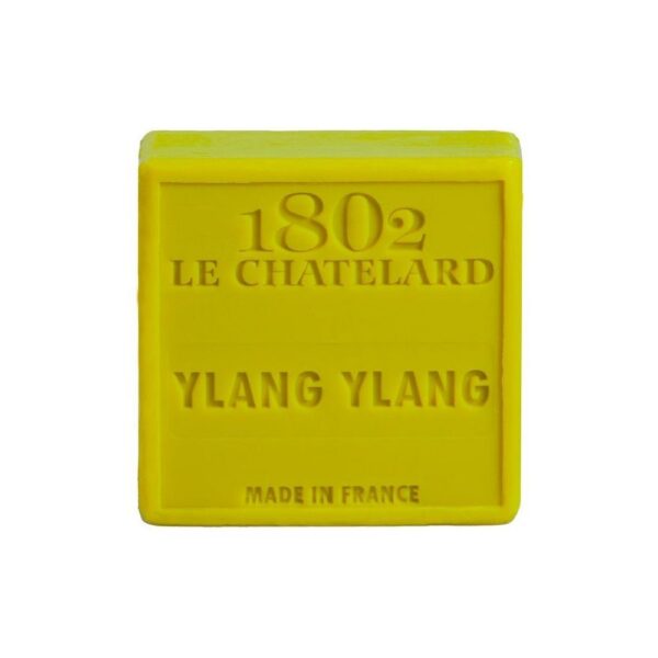 Le Chatelard palmvrije zeep 100 g - Ylang ylang