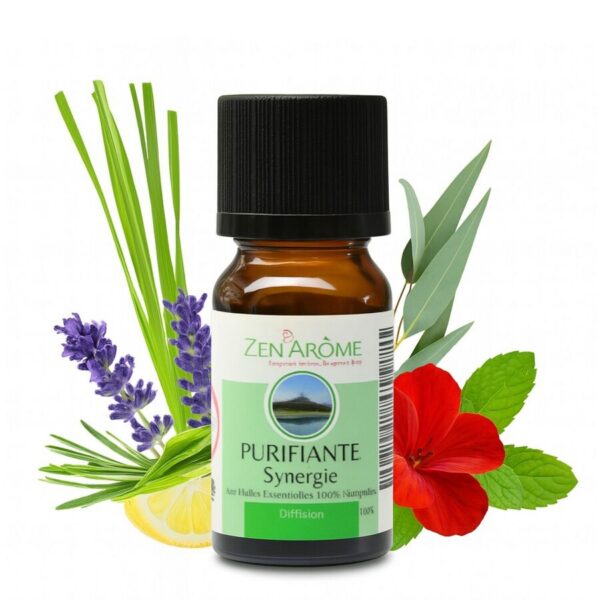 Zen Ar√¥me synergie Purifying 10 ml
